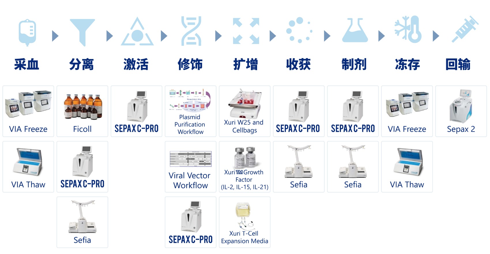 GMP 级细胞生产制备平台工艺流程图
